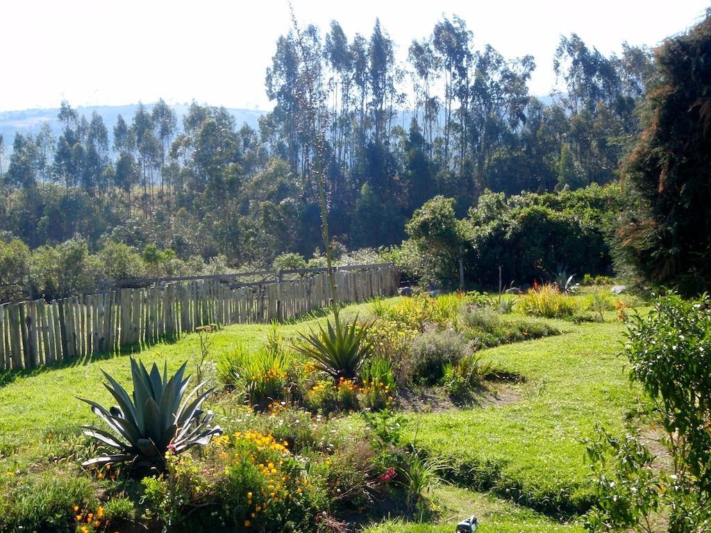 Hosteria Hotel Cuello De Luna - Cotopaxi - Country Inn Lasso Dış mekan fotoğraf